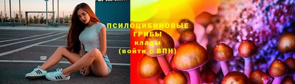 амф Алагир