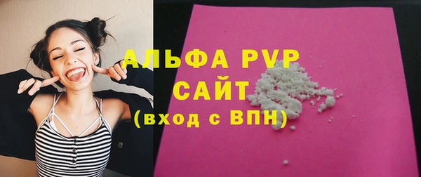 PSILOCYBIN Белокуриха