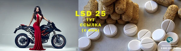 PSILOCYBIN Белокуриха