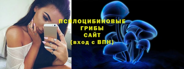 PSILOCYBIN Белокуриха