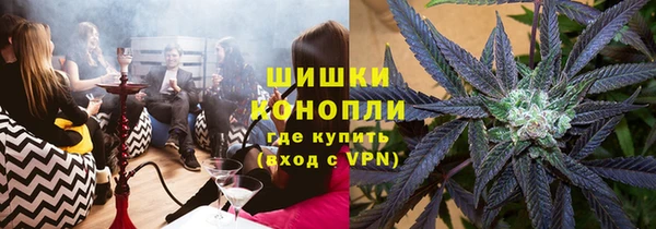 PSILOCYBIN Белокуриха