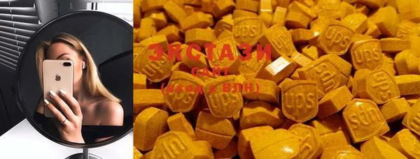 PSILOCYBIN Белокуриха
